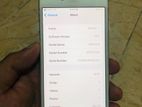 Apple iPhone 8 (Used)