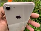 Apple iPhone 8 256GB (Used)