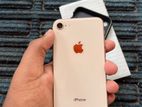 Apple iPhone 8 256Gb (Used)