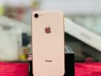 Apple iPhone 8 256GB (Used)