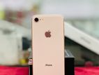 Apple iPhone 8 256GB (Used)