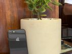 Apple iPhone 8 256GB (Used)