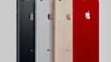 Apple iPhone 8 64 -256GB (Used)