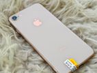 Apple iPhone 8 64GB (Used)