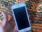 Apple iPhone 8 64GB (Used)