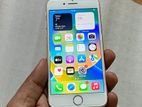 Apple iPhone 8 64GB Gold (Used)