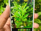 Apple iPhone 8 64GB Silver colour (Used)