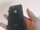 Apple iPhone 8 64GB (Used)