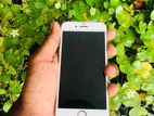 Apple iPhone 8 64GB (Used)