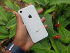 Apple iPhone 8 64GB (Used)