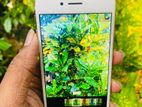 Apple iPhone 8 64GB (Used)