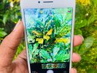 Apple iPhone 8 64GB (Used)