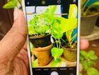 Apple iPhone 8 64Gb (Used)