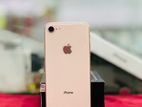 Apple iPhone 8 64GB (Used)