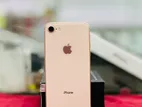 Apple iPhone 8 64GB (Used)