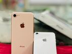 Apple iPhone 8 64GB (Used)