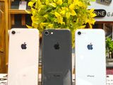 Apple iPhone 8 64GB (Used)