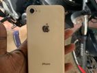 Apple iPhone 8 (Used)