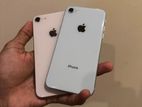 Apple iPhone 8 Chees (Brand New)