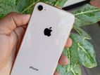 Apple iPhone 8 (Used)