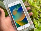Apple iPhone 8 Gold (Used)