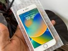 Apple iPhone 8 (Used)