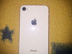 Apple iPhone 8 (Used)