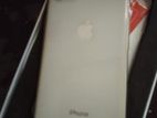 Apple iPhone 8 (Used)