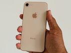 Apple iPhone 8 (Used)