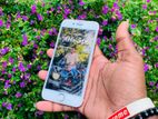 Apple iPhone 8 (Used)