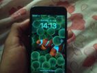 Apple iPhone 8 (Used)