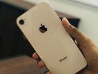 Apple iPhone 8 (Used)
