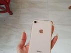 Apple iPhone 8 (Used)