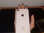 Apple iPhone 8 (Used)