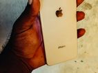 Apple iPhone 8 (Used)