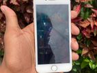Apple iPhone 8 (Used)
