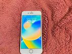 Apple iPhone 8 (Used)