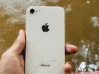 Apple iPhone 8 (Used)