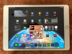 Apple iPad 8th Gen