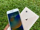 Apple iPhone 8 (Used)