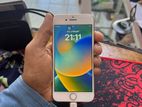 Apple iPhone 8 (Used)