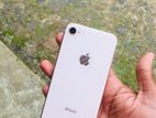 Apple iPhone 8 (Used)