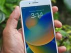 Apple iPhone 8 Plus 256 GB (Used)