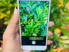 Apple iPhone 8 Plus 256GB (Used)