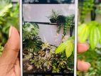 Apple iPhone 8 Plus 64GB (Used)