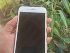 Apple iPhone 8 Plus (Used)