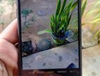Apple iPhone 8 Plus (Used)
