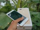Apple iPhone 8 Plus (Used)