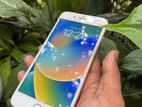 Apple iPhone 8 Plus (Used)