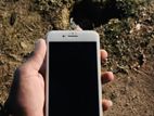 Apple iPhone 8 Plus (Used)